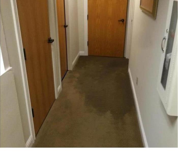 water soaked carpet in a hallway